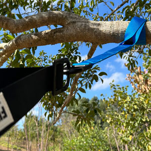 Anchor to a tree